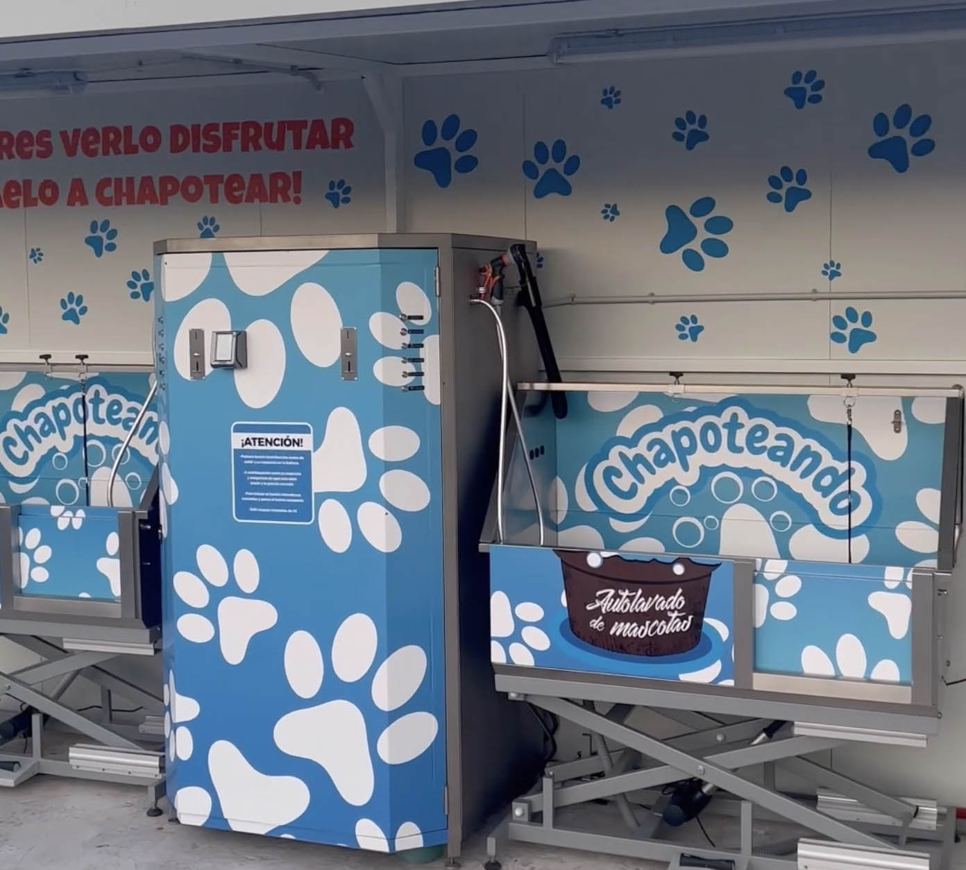 Autolavado canino en agetrans